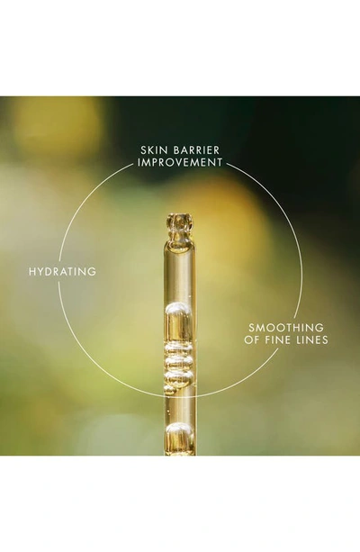 Eve Lom Renewal Treatment Oil