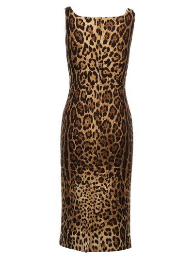 Shop Dolce & Gabbana Animalier Dress Dresses Multicolor