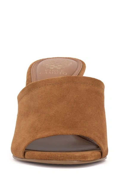 Shop Vince Camuto Alyysa Slide Sandal In Golden Walnut