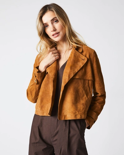 Reid Suede Cropped Trench In Caramel