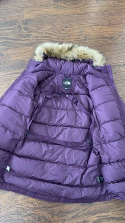 Pre-owned The North Face Outer Boroughs Parka Coat Women Size M Blackberry In Purple