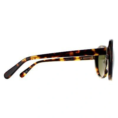 Pre-owned Serengeti Sunglasses Bacall Ss541003 Tortoise Havana Mineral Polarized 555nm In Green