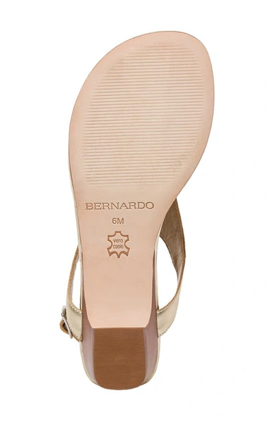 Shop Bernardo Footwear Bernardo Gala Sandal In Champagne