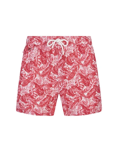 Shop Kiton White Swim Shorts With Foliage Print In Pink