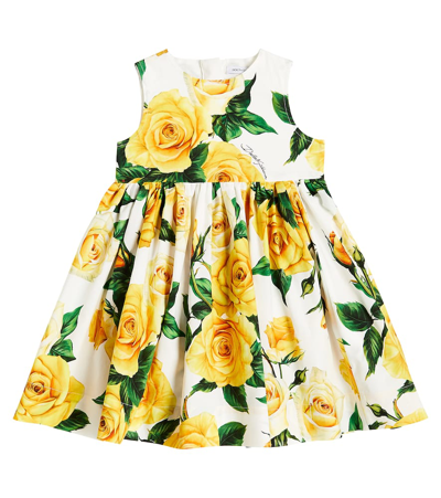 Shop Dolce & Gabbana Baby Floral Cotton Dress And Bloomers Set In Rose Gialle Fdo Bco