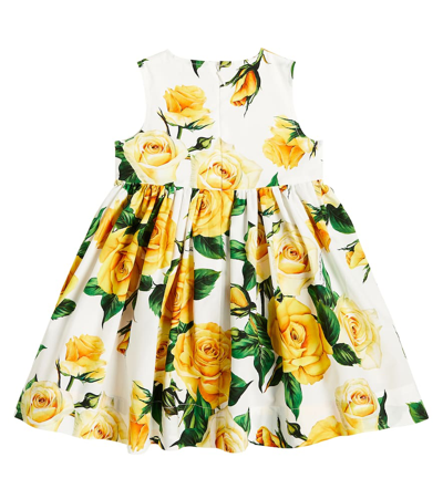 Shop Dolce & Gabbana Baby Floral Cotton Dress And Bloomers Set In Rose Gialle Fdo Bco