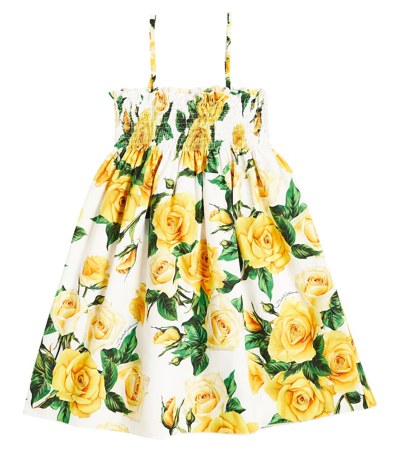 Shop Dolce & Gabbana Floral Cotton Poplin Dress In Rose Gialle Fdo Bco