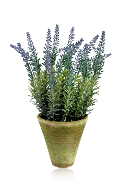 Shop Diane James Designs Lavender Plant In Mossy Pot In Purple