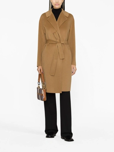 Shop Pinko Camel Brown Belted Single-breasted Coat
