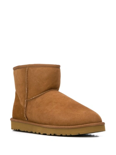 Shop Ugg Mini Anckle Boots In Brown