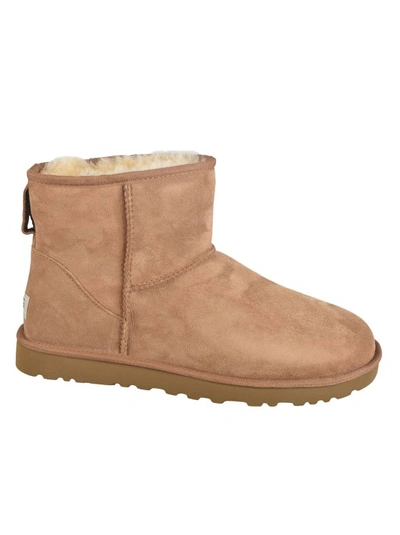 Shop Ugg Mini Anckle Boots In Brown