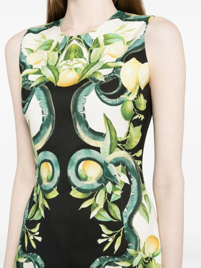Shop Roberto Cavalli Multicolour Lemon Print Dress In Black