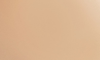Sisley Paris Sisley-paris Phyto-teint Perfection Foundation In 2w2 Desert