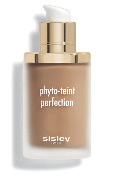 Sisley Paris Sisley-paris Phyto-teint Perfection Foundation In 6c Amber