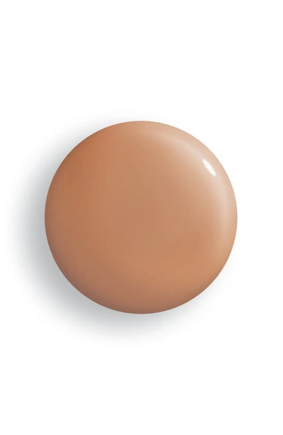 Sisley Paris Sisley-paris Phyto-teint Perfection Foundation In 6c Amber