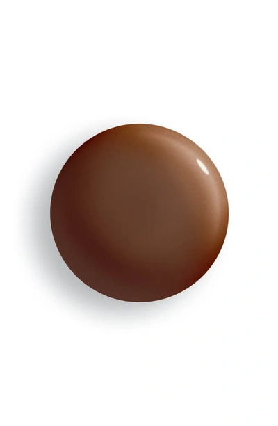 Sisley Paris Sisley-paris Phyto-teint Perfection Foundation In 8n Espresso