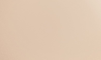 Sisley Paris Sisley-paris Phyto-teint Perfection Foundation In 00c Swan