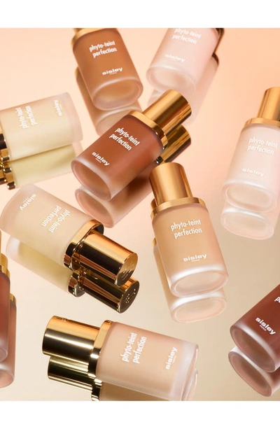 Sisley Paris Sisley-paris Phyto-teint Perfection Foundation In 8c Cappuccino