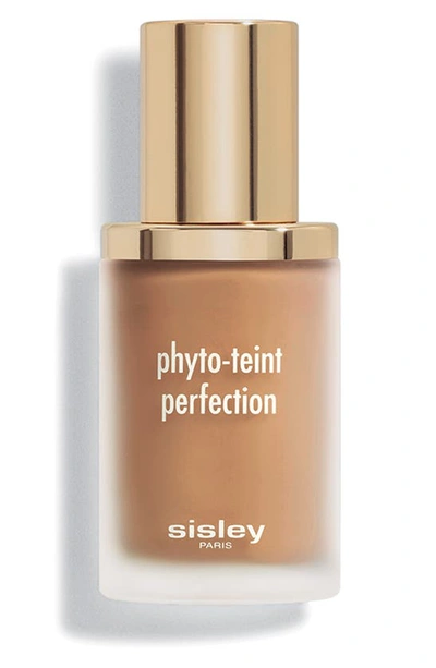 Shop Sisley Paris Phyto-teint Perfection Foundation, 1 oz In 6w Chestnut