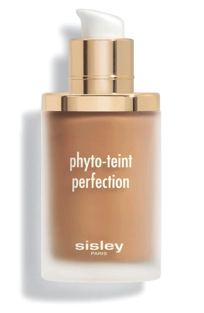 Shop Sisley Paris Phyto-teint Perfection Foundation, 1 oz In 6w Chestnut