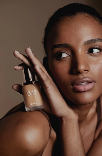 Sisley Paris Sisley-paris Phyto-teint Perfection Foundation In 6w Chestnut