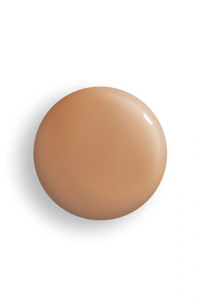 Sisley Paris Sisley-paris Phyto-teint Perfection Foundation In 6w Chestnut
