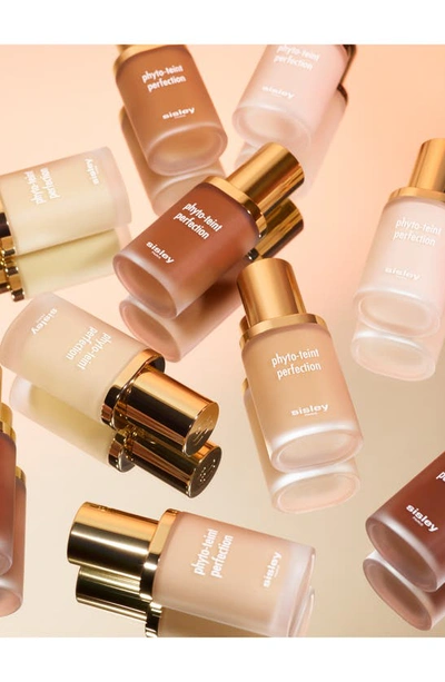 Sisley Paris Sisley-paris Phyto-teint Perfection Foundation In 6n Sandalwood