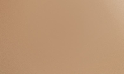 Sisley Paris Sisley-paris Phyto-teint Perfection Foundation In 6n Sandalwood