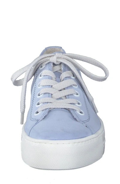 Shop Paul Green Bixby Platform Sneaker In Light Blue Suede