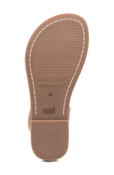 Shop Bernardo Footwear Bernardo Lilly Sandal In Blush Leather