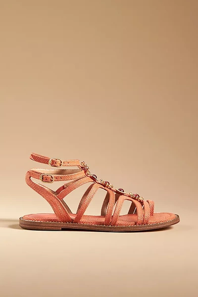 Shop Sam Edelman Tianna Gladiator Sandals In Orange