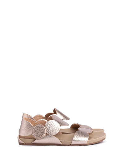 Shop Pedro Garcia Jeanne Sandal In Laminated Grained Leather In Sirocco