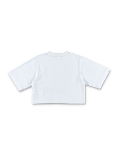 Shop Palm Angels Pa Bear Cropped T-shirt In White