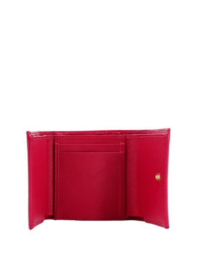 Shop Dolce & Gabbana Wallet In Pink