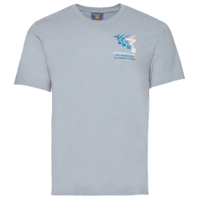 Shop Coney Island Picnic Mens  Aquatics Short Sleeve T-shirt In Blue/blue