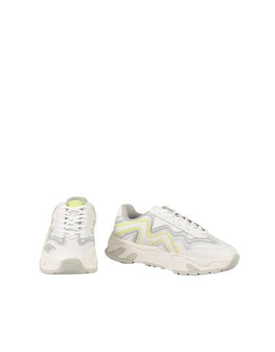 Msgm Mens White Sneakers In White