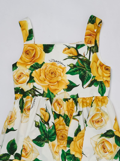 Shop Dolce & Gabbana Dress Dress In Bianco-giallo