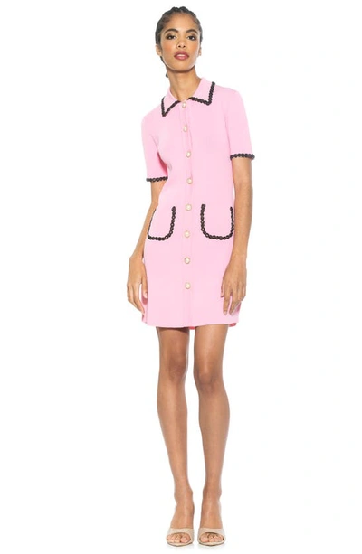 Shop Alexia Admor Odette Knit Shirtdress In Pink