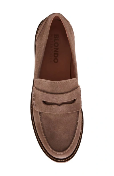 Blondo Waterproof Penny Loafer In Taupe Suede