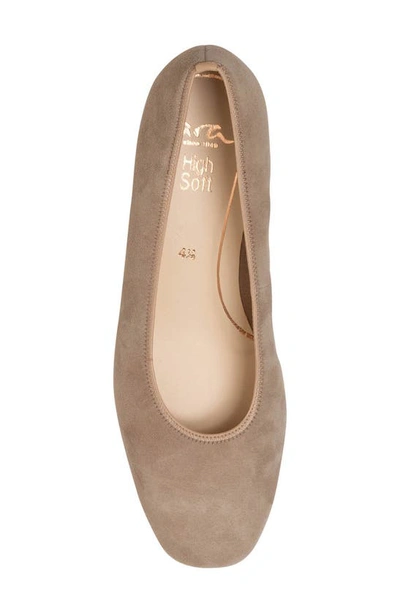 Shop Ara Gabrielle Pump In Sand And Camel