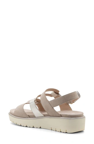 Ara Bayview Strappy Sandal In Sand And Platinum