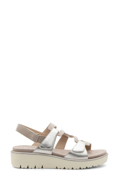 Ara Bayview Strappy Sandal In Sand And Platinum