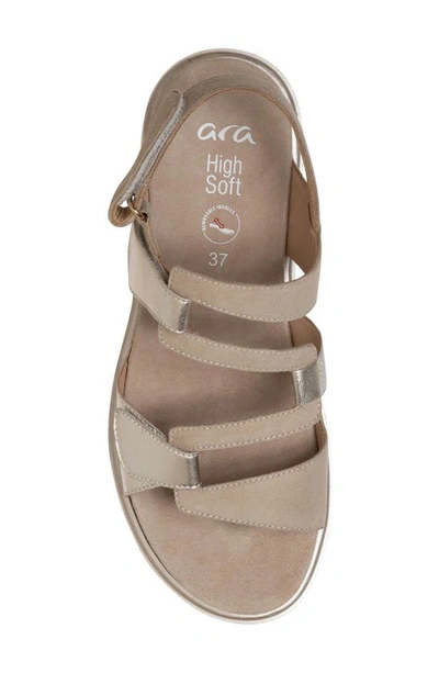 Shop Ara Bayview Strappy Sandal In Sand And Platinum