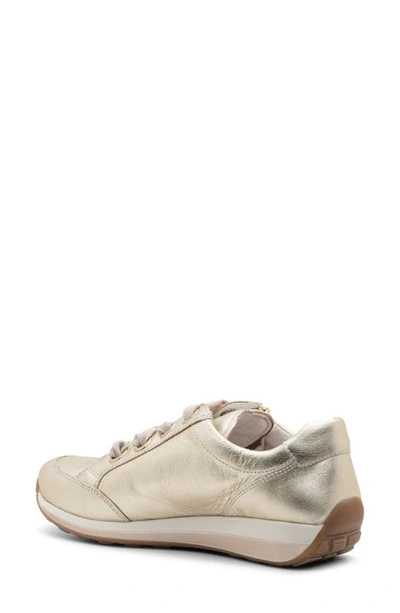 Shop Ara Ollie Sneaker In Platinum