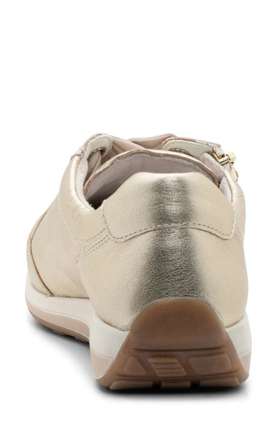 Ara Ollie Sneaker In Platinum