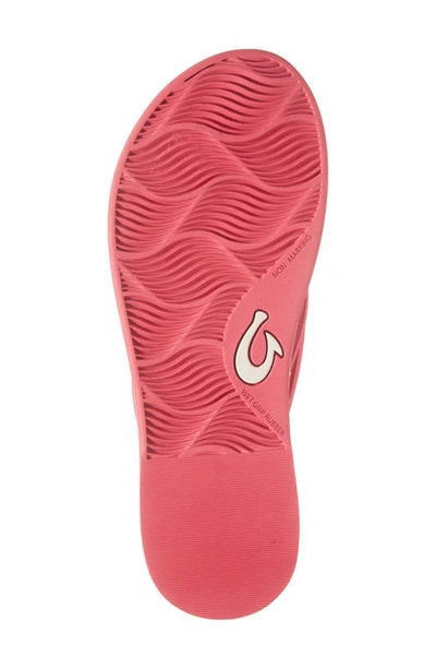 Shop Olukai Aka Flip Flop In Pink Plumeria / Pink Plumeria