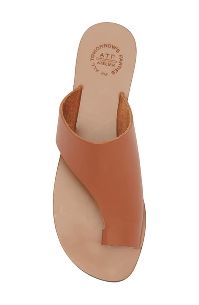 Atp Atelier Brown Rosa Cut Out Leather Sandals In Brandy Vacchetta