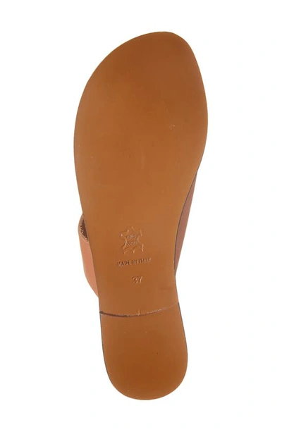 Atp Atelier Brown Rosa Cut Out Leather Sandals In Brandy Vacchetta