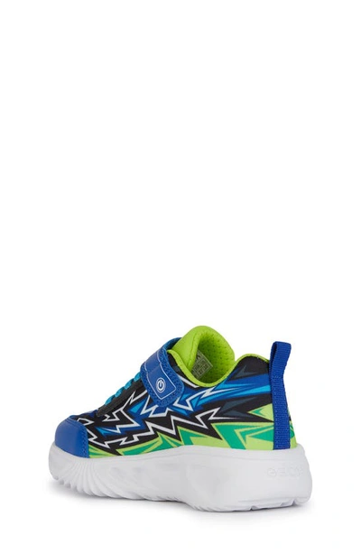 Shop Geox Kids' Assister Light-up Sneaker In Royal/ Lime