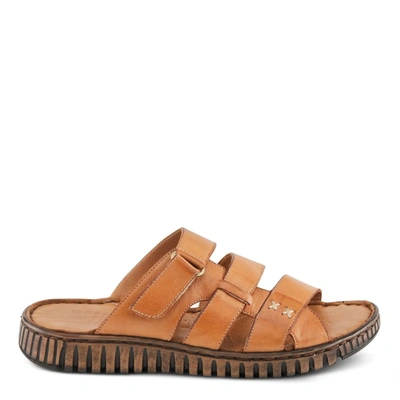 Shop Spring Step Shoes Women's Olly Sandals In Camel In Brown